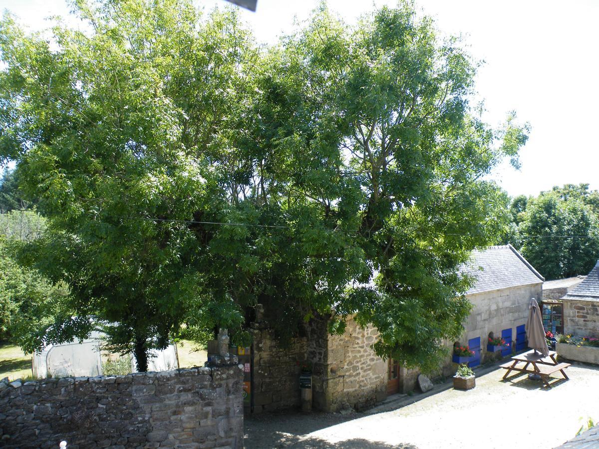 Bed and Breakfast La Ferme Du Bout Du Monde Plogoff Exterior foto